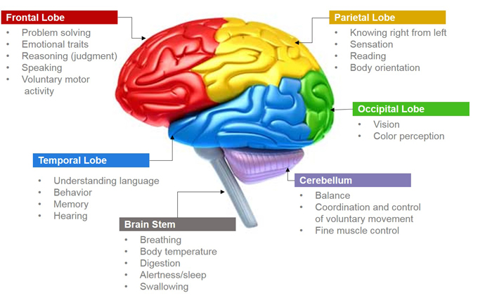 Frontotemporal Dementia - Alzheimer Calgary