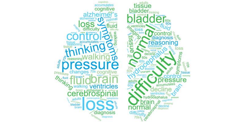 Normal Pressure Hydrocephalus word cloud graphic