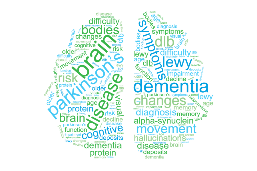 Parkinson's Disease Dementia word cloud graphic