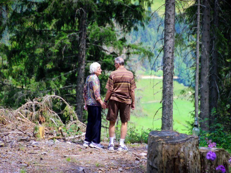 senior couple holding hands in the forest