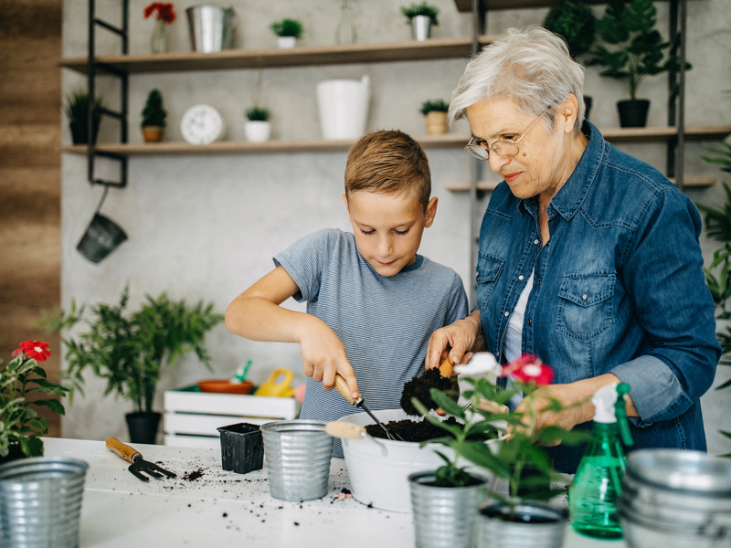 2026 Spring Campaign